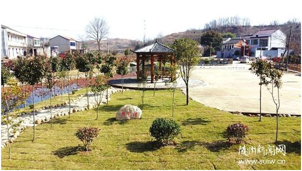杨寨镇京桥村：架起村美民富的“金桥”