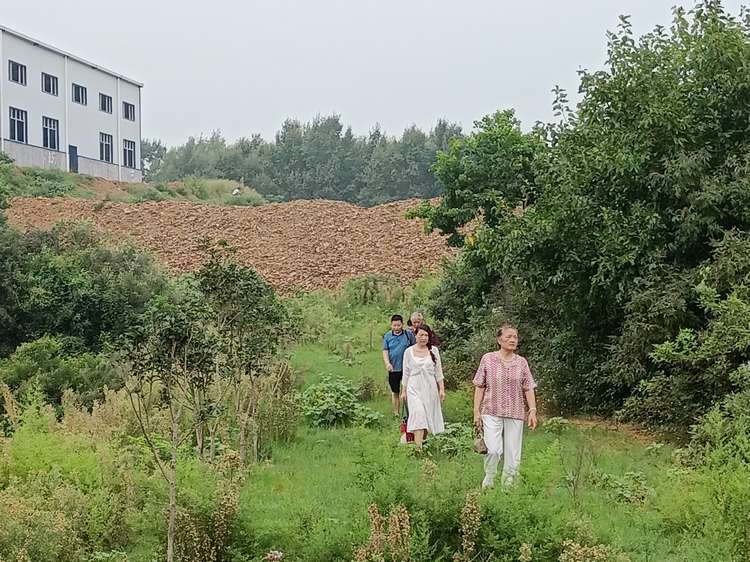 绿草地食品厂在如火如荼建设中
