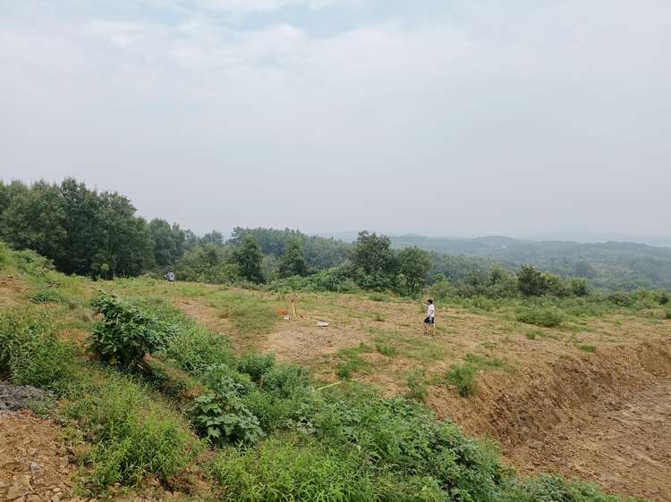 绿草地食品厂在如火如荼建设中