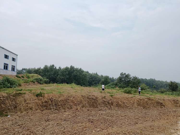 绿草地食品厂在如火如荼建设中