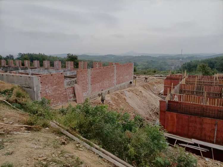 最优惠价格协助绿草地食品有限公司建设