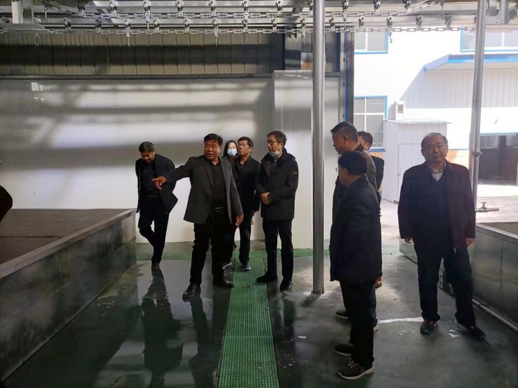 省自然资源局领导来公司指导工作