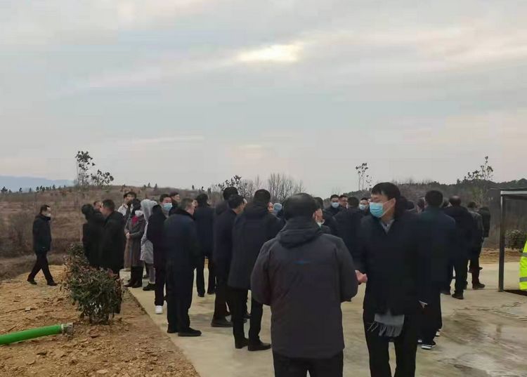 市四大家领导观摩公司建设
