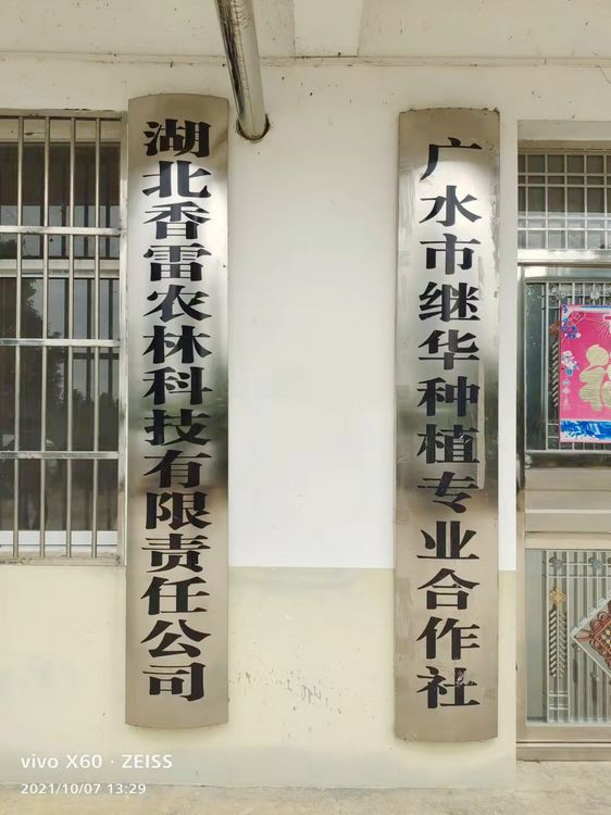 品尝天然果油 享受健康生活