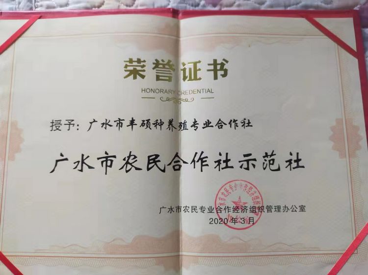 “众志”伸出橄榄枝“丰硕”取经创大业