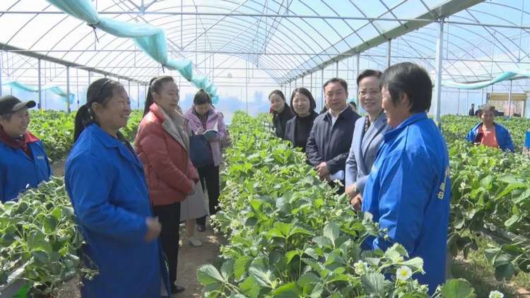 探索建立妇联组织融入基层社会治理的长效机制