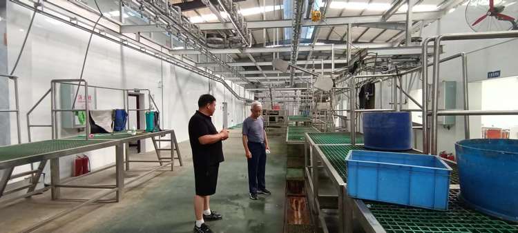 改建扩能 提档升级 绿草地公司一期建设完成