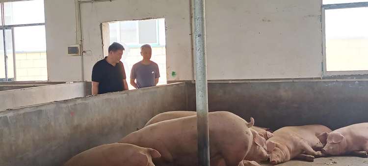 改建扩能 提档升级 绿草地公司一期建设完成