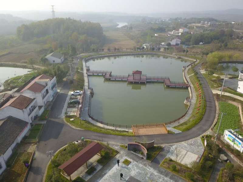 游观梅庙村陈家湖