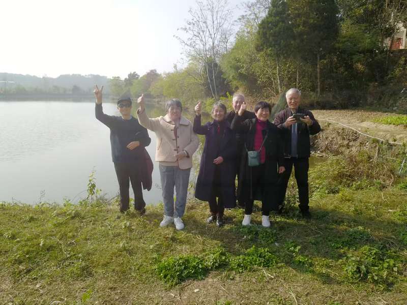 游观梅庙村陈家湖